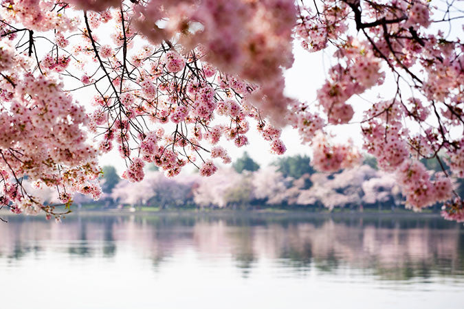Spring